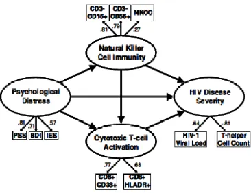 Figure 2. Hypothesized model of interaction between psychological distress and HIV disease mediated by  elements of natural immunity (from Greeson et al, 2008)