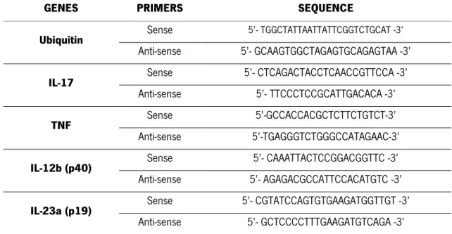 Table I –  Sequences of the SYBR Green specific oligonucleotides for ubiquitin and target genes  used for quantification of mRNA expression by RT-PCR