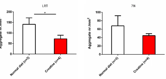 Figure 3- : Intranuclear ATXN3 inclusion load in CMVMJD 135 mice treated with a normal diet and 2% creatine supplementation