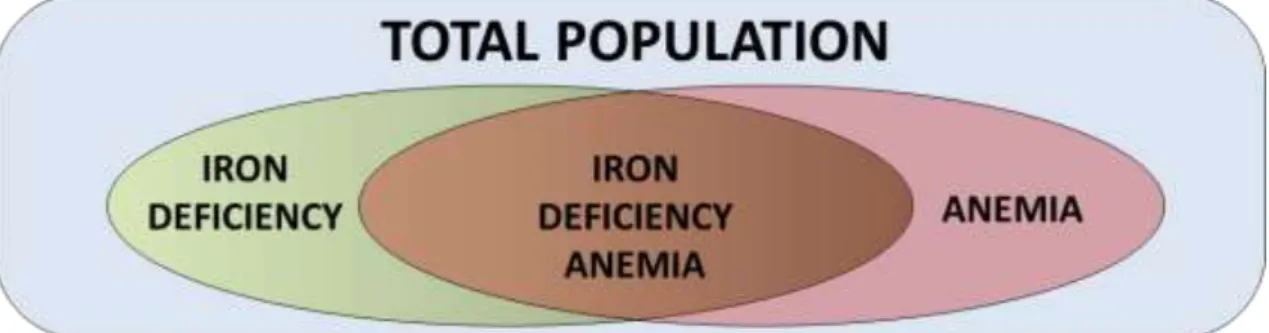 Figure 3 - Conceptual diagram of the relationship between iron deficiency and/or anemia in a  hypothetical population