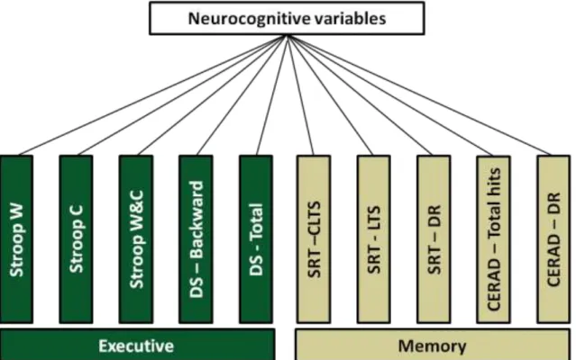 Figure 5 – Diagram of neurocognitive dimensions formation by PCA.