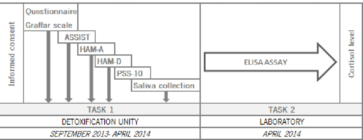 Figure 2: Experimental design and timeline 