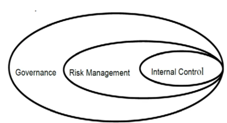 Figura 1 – Controlo Interno nas Organizações (IFAC, 2012) 