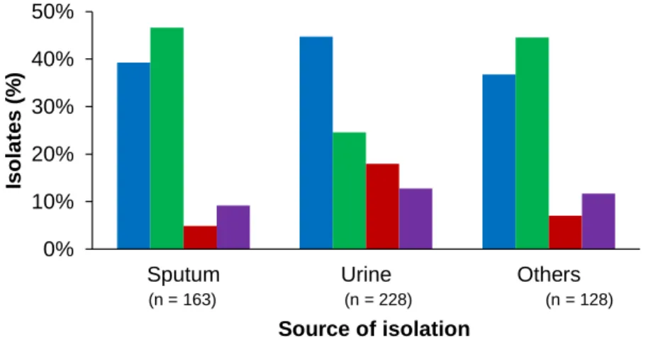 Figure 9. Distribution of P. aeruginosa isolates from sputum, urine and other sources (bronchial  aspirates, ulcers, etc.) according to occurrence of mono and multi-infections and MDR isolates