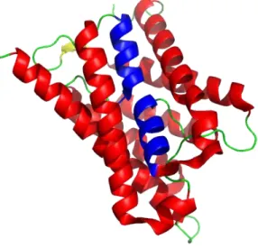 Figure  1  –  3D  structure  of  the  mutant  aquaporin  from  spinach  SoPIP2;1.  Adapted  with  pyMol  (PyMOL Molecular Graphics System, Version 1.5.0.4 Schrödinger, LLC) from Nyblom et al