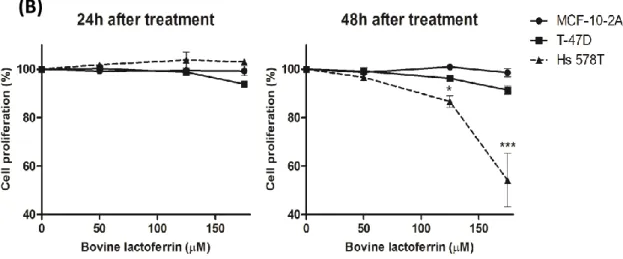 Figure  II.1: Analysis  of  the  susceptibility  of  breast  cell  lines  to  bLf.  (A)  Representative  images  of  the  effects of bLf (50, 125 and 175 µM) 48 h treatment on Hs 578T, T-47D and MCF-10-2A cell lines (phase  contrast  10×)