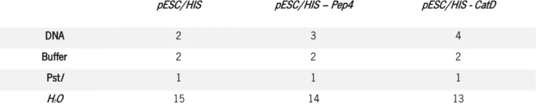 Tabela VI - Volumes (µL) utilizados na restrição de confirmação do clone pESC/HIS -CatD
