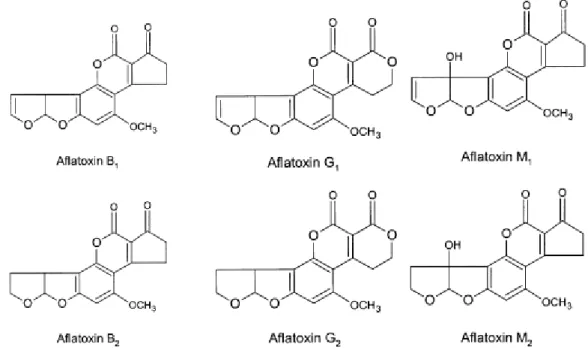 Figura 1 - Estrutura química das aflatoxinas B1, B2, G1, G2, M1 e M2 [5]. 