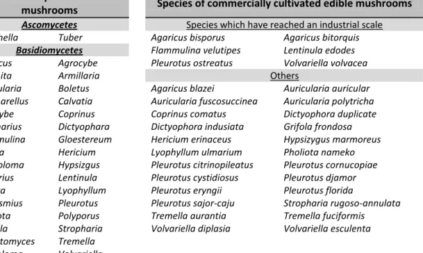 Table 1 - Some edible mushrooms  [Adapted from (Chang 2001)] 