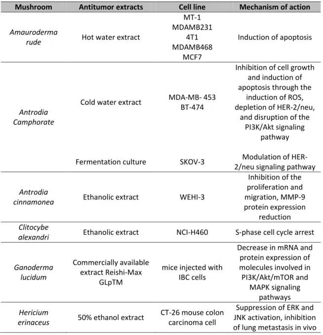Table 2 - Some examples of extracts from mushrooms which have shown antitumor activity  Adapted from (Popovic et al