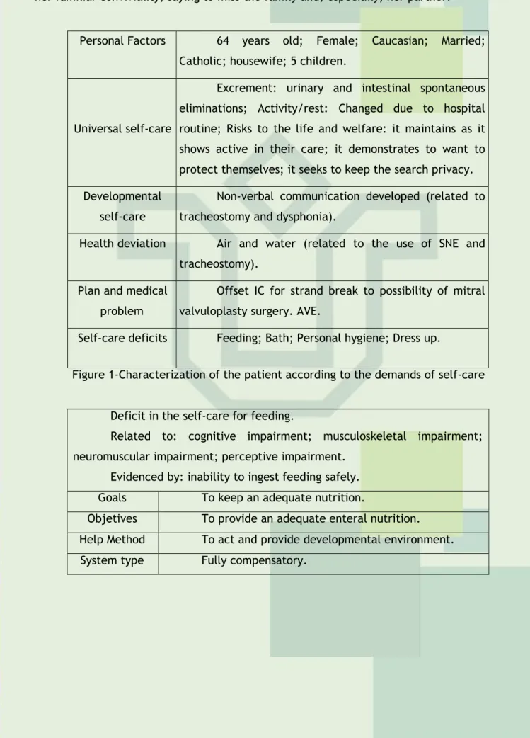 Figure 1-Characterization of the patient according to the demands of self-care 