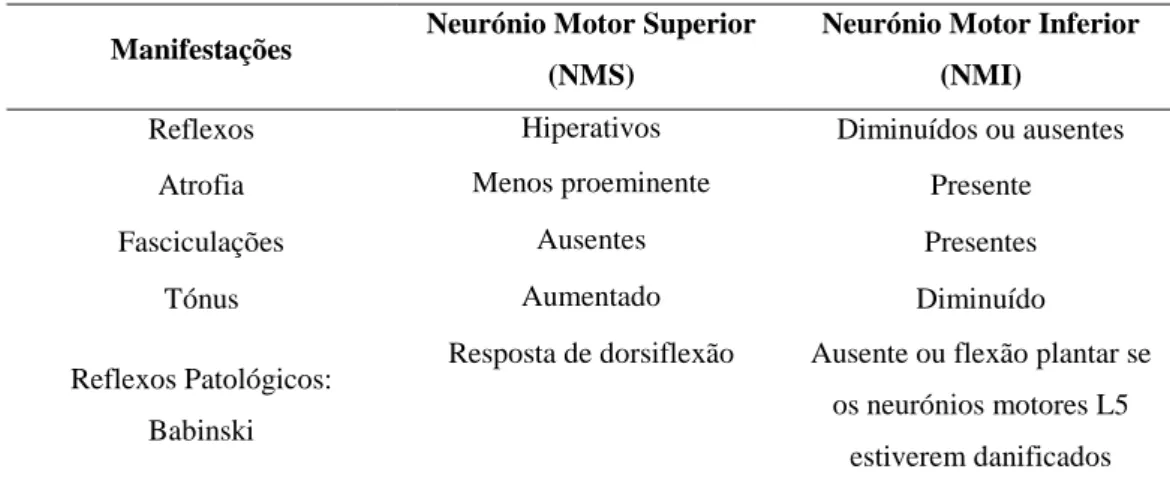 Tabela 4.3 - Manifestações clínicas de lesão do neurónio motor superior e inferior (adaptado de Mcdonald &amp; 