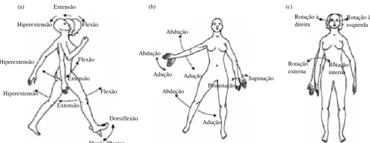 Figura 2.2: Movimentos comuns nos diferentes planos anatómicos, (a) sagital, (b) frontal/coronal (c) transverso  (adaptado de [18])
