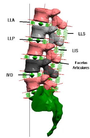 Figura 1.19- Modelo da coluna lombar composto por vértebras, ligamentos, bushings e facetas.(Adaptado de (45))