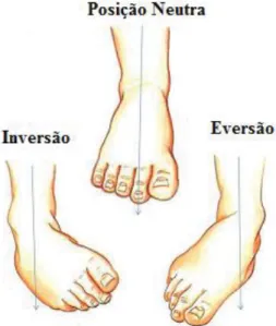 Figura 9 - Representação da execução dos exercícios: Eversão, Inversão [11]. 