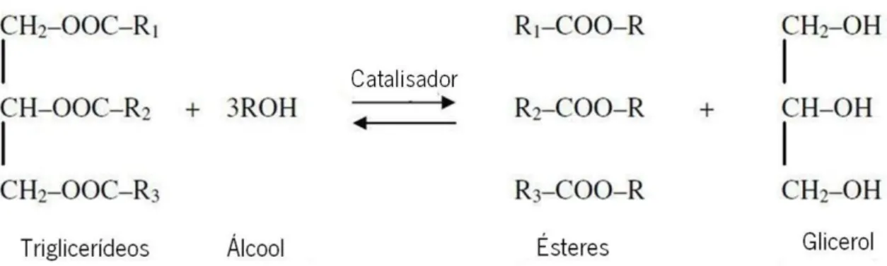 Figura 9 - Reações na transesterificação nos triglicerídeos, R1, R2 e R3 são cadeias longas de carbono e hidrogénio,  designadas por ácidos gordos [15]