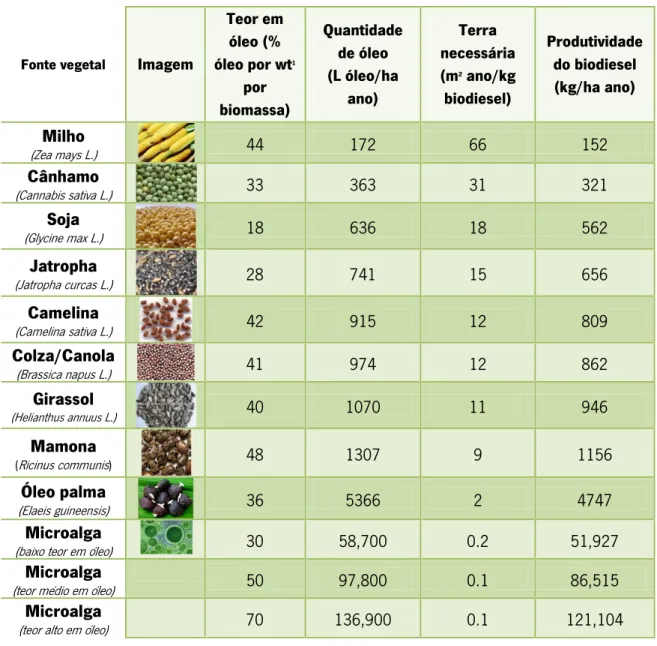 Tabela 4 - Comparação de diferentes matérias-primas para a produção de biodiesel [39] 
