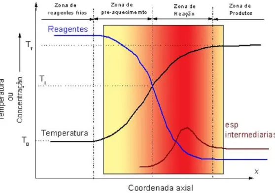 Figura 3.4 - Variação da temperatura e concentração de reagentes ao longo da chama (Cancino, 2004) 