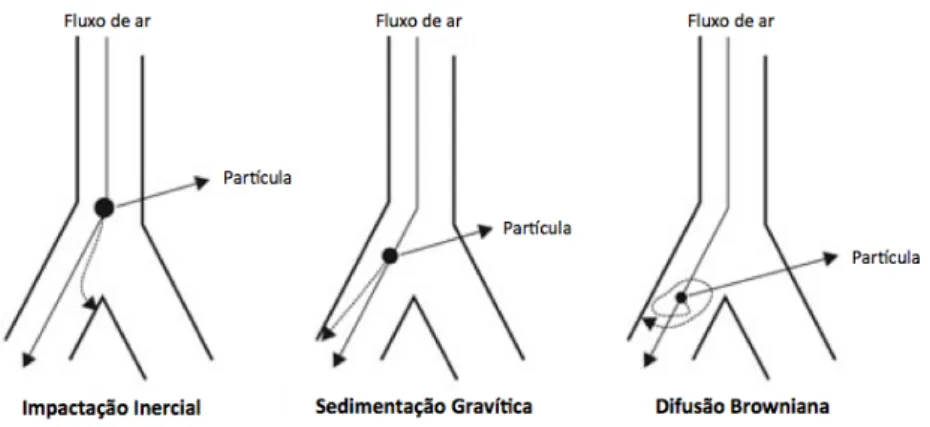 Figura 2.4. Mecanismos de deposição de partículas nas vias respiratórias. Da esquerda para a direita: 