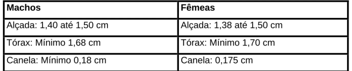 Tabela 1: Medidas de machos e fêmeas de eqüinos dentro da raça Crioula. 