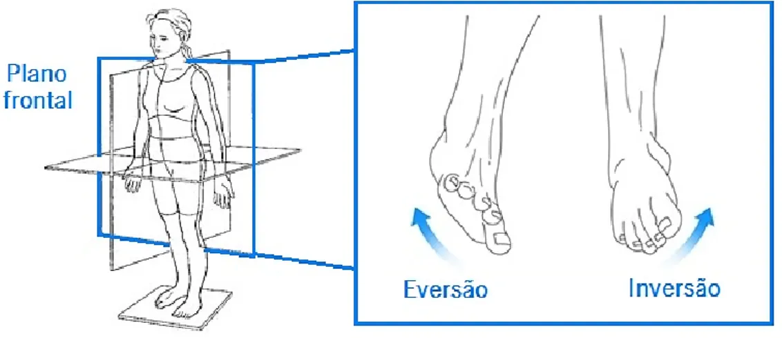 Figura 2.15 - Ilustração dos movimentos de eversão e inversão num plano paralelo ao plano frontal representado