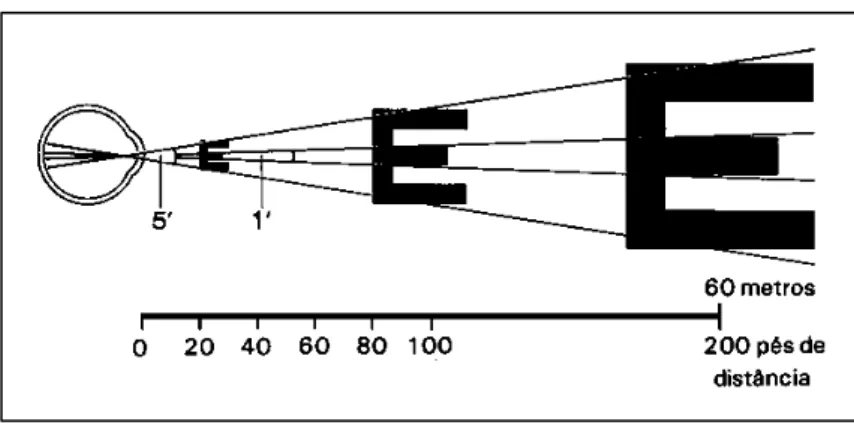 Figura   3   -­‐   Ângulo   visual                               
