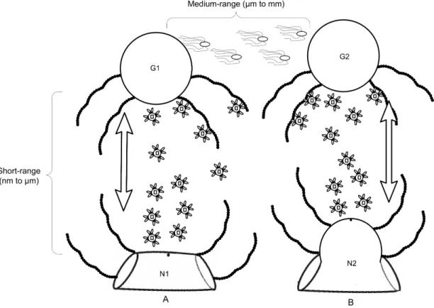 Figure 4.2: Illustration of the communication techniques used in this con- con-cept. (A)Mono-monostatic body manufacture approach [47]
