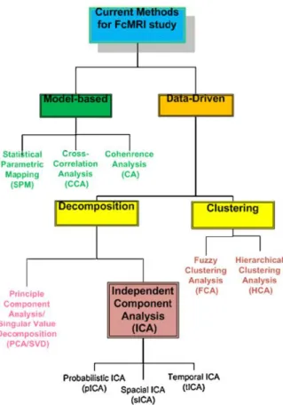 Figure 7 - Methods developed for functional connectivity MRI study. [Adapted from (Li et al.,  2009)] 