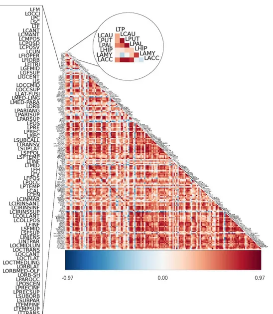 Figure 9 – Example of a correlation matrix acquired via Nitime Python package. The  scale ranges from blue to dark-red, being blue a strong negative correlation and dark-red a strong 