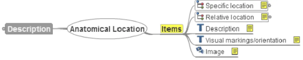 Figura 4.5: Mindmap do arquétipo: Localização Anatómica [96].