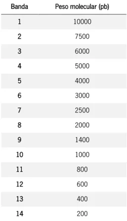 Tabela 2.3. Pesos moleculares das bandas do marcador NZYDNA Ladder III 