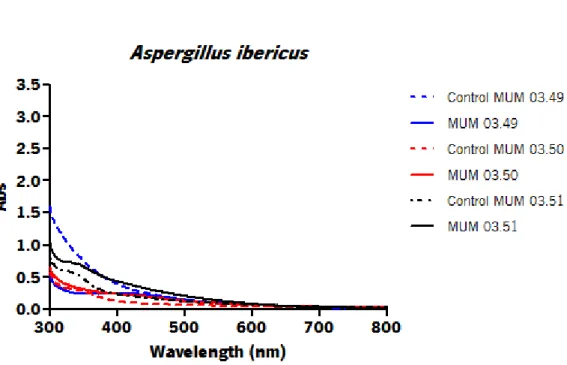 Figure 5 – UV-visible spectrum of  Aspergillus ibericus  filtrate with 1 mM of AgNO 3  aqueous solution with and its  respective strains after 96 h of incubation