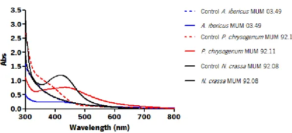 Figure 8 – UV-visible spectrum  Aspergillus ibericus  MUM 03.49,  Penicillium chrysogenum  MUM 92.11 and Neurospora crassa  MUM 92.08 filtrates with 1 mM of AgNO 3  aqueous solution with and its respective strains after 