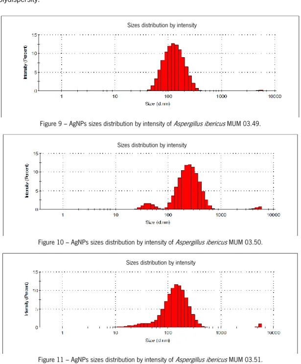 Figure 9 – AgNPs sizes distribution by intensity of  Aspergillus ibericus  MUM 03.49.  
