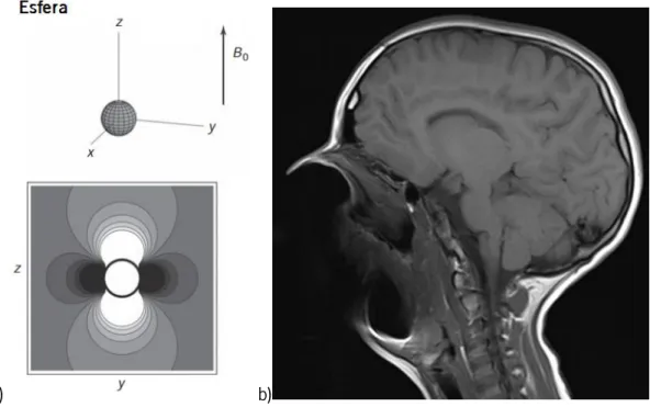 Figura 14. a) Distorção causada no campo magnético primário por uma esfera metálica. Adaptado de  (Buxton, 2009) 