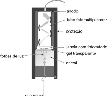 Figura 3.2: Detetor cintilador. [4]