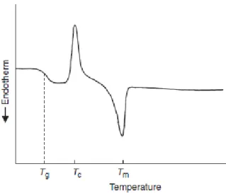 Figure 2.3. DSC thermogram showing the glass transition temperature (Tg), the crystallization temperature (Tc), and  the melting temperature (Tm)