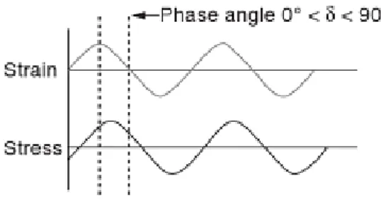 Figure 2.6. Basic principle of DMA. Application of an oscillatory strain to the sample and resulting sinusoidal stress  measurement