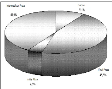 Graphic  1.  Phases  of  stress  of  Family  members  of  adult  patients  admitted  to  the  ICU  of  a  size  IV  hospital with