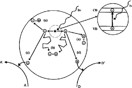 Figura 1.1: Representação dos principais processos decorrentes da excitação eletrónica de uma partícula  semicondutora
