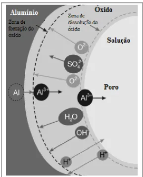 Figura 16 – Trocas iónicas na zona de formação e dissolução do óxido [19] 