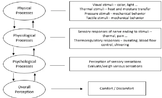 Figure 1.5 – Overall perception about thermal environment (adapted from Li, 2010) 