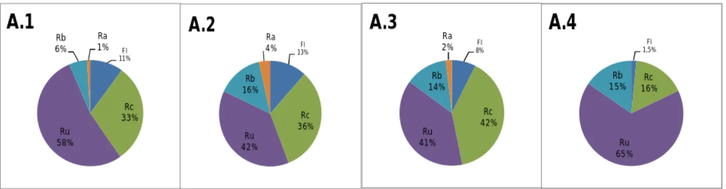 Figura 13 - Representação gráfica das proporções de materiais reciclados 