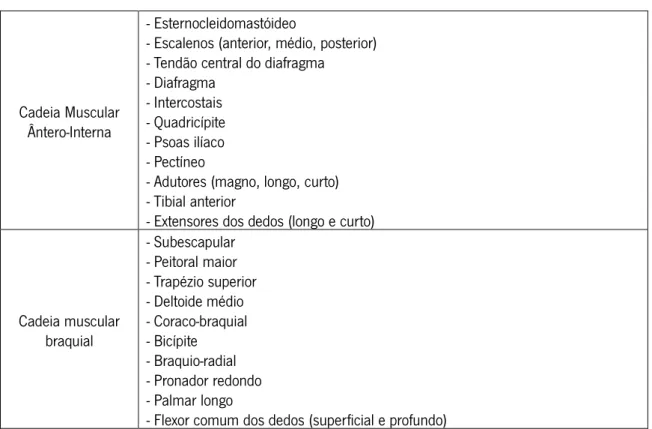 Tabela 4 - Continuação da tabela anterior, descritiva da musculatura das cadeias musculares