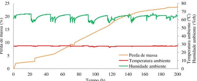 Figura 31  –  Representação gráfica da perda de massa da mistura com fibras de sisal ao longo de 250 horas,  relacionando a temperatura e humidade do ambiente 
