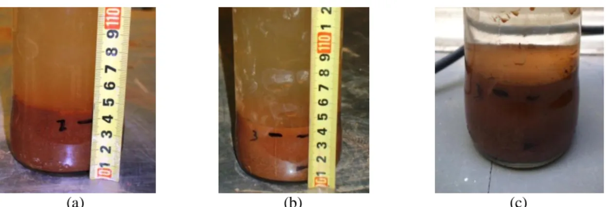 Figura 3.6 – Resultados obtidos ensaio de sedimentação em função dos tempos: a) 45min; b)  60min;c) 24h 