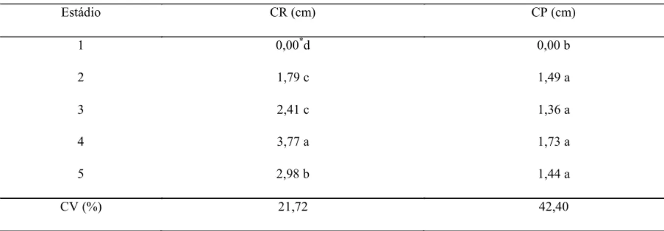 Tabela  6. Comprimento de raiz (CR) e parte aérea (CP) das plântulas de pimenta (Capsicum chinense Jacq.), var