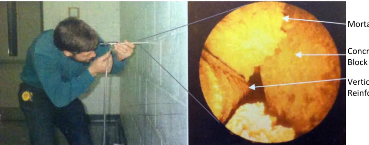 Figure 2.14 shows the execution and the possible output of the boroscopy test. 