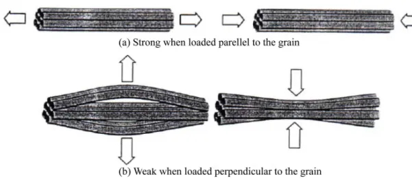 Figure 2.2: Resisting mechanism of wood: (a) Strong when loaded parallel to the grain, (b)  Weak when loaded perpendicular to the grain