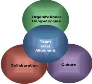 Figura 7 - Competências organizacionais e o alinhamento [Retirado de (Coates, 2008)] 